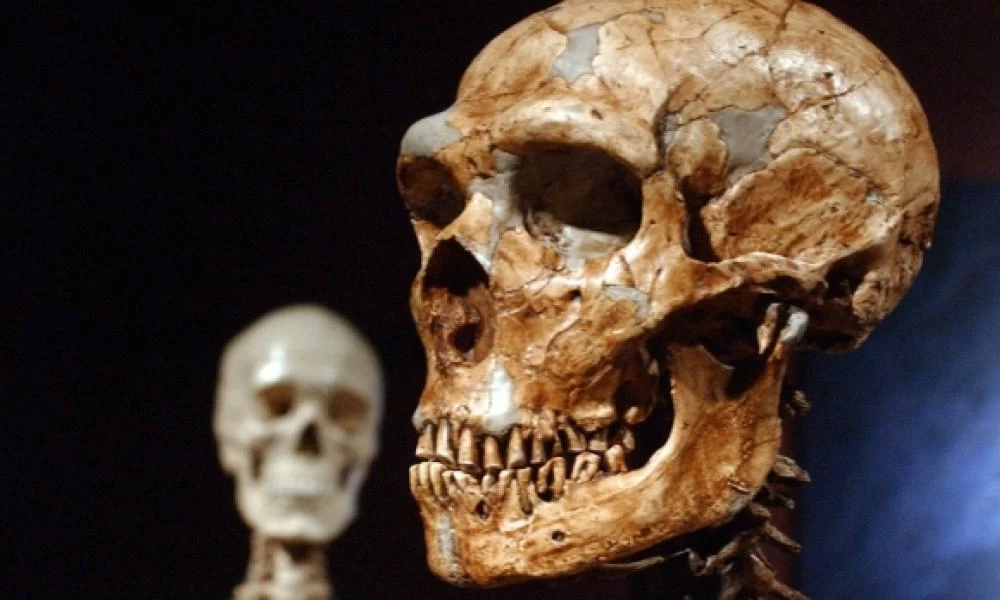 Διεθνής μελέτη αποκάλυψε επιδημία κορονοϊού πριν από 20.000 χρόνια!